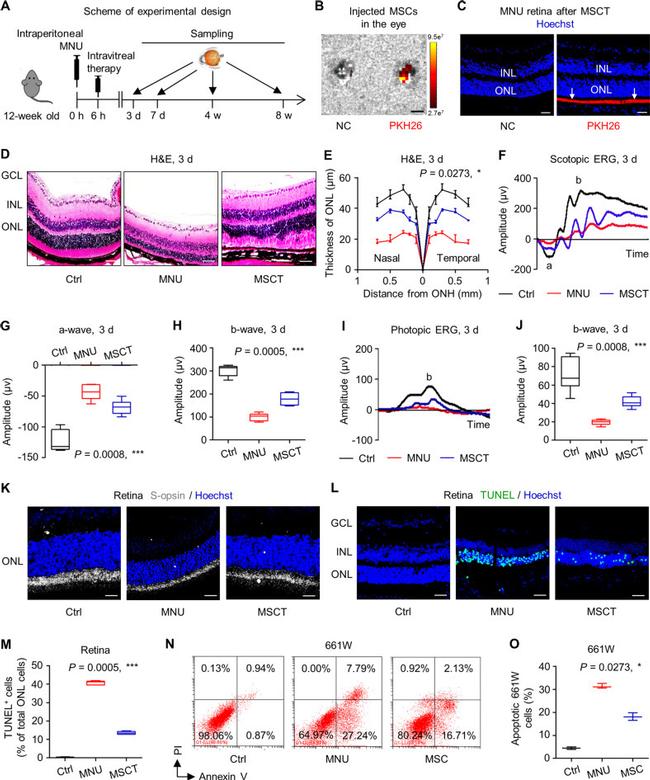 CD29 (Integrin beta 1) Antibody in Flow Cytometry (Flow)