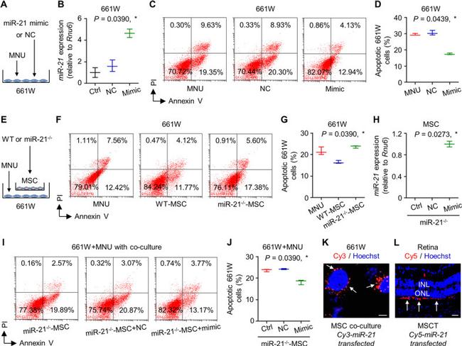 CD31 (PECAM-1) Antibody in Flow Cytometry (Flow)