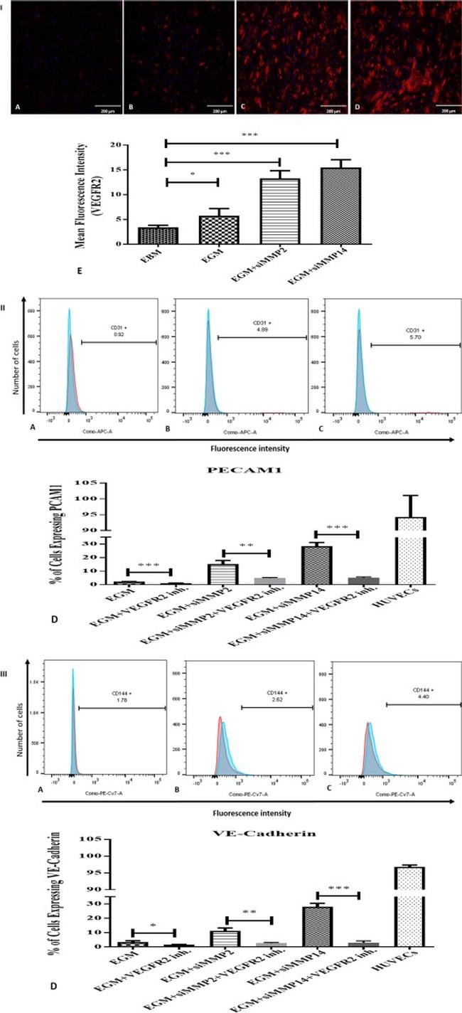 CD31 (PECAM-1) Antibody in Flow Cytometry (Flow)