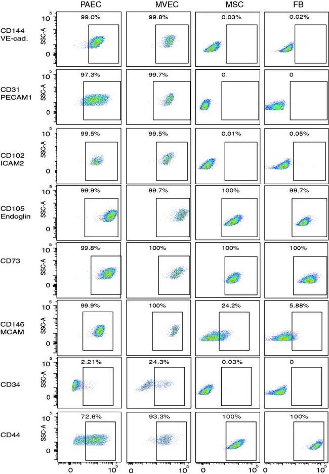 CD73 Antibody in Flow Cytometry (Flow)