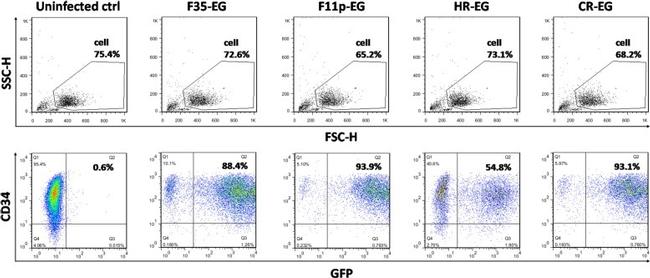 CD34 Antibody in Flow Cytometry (Flow)