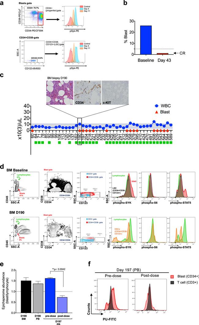 CD34 Antibody in Flow Cytometry (Flow)