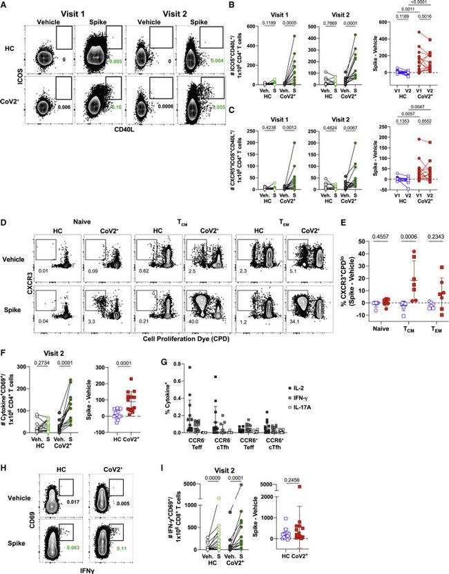 CD278 (ICOS) Antibody in Flow Cytometry (Flow)