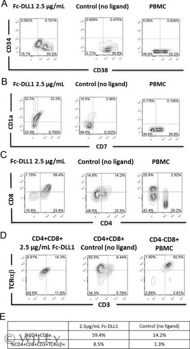 CD38 Antibody in Flow Cytometry (Flow)