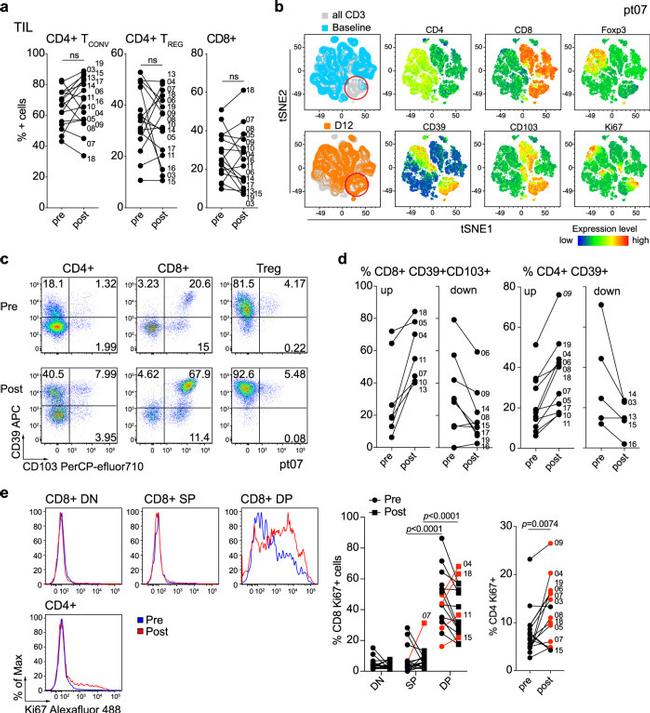 CD103 (Integrin alpha E) Antibody in Flow Cytometry (Flow)