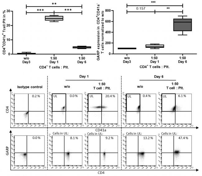 CD41a Antibody in Flow Cytometry (Flow)