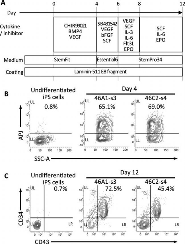 CD43 Antibody in Flow Cytometry (Flow)