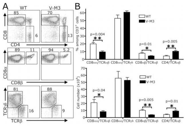 CD8b Antibody in Flow Cytometry (Flow)