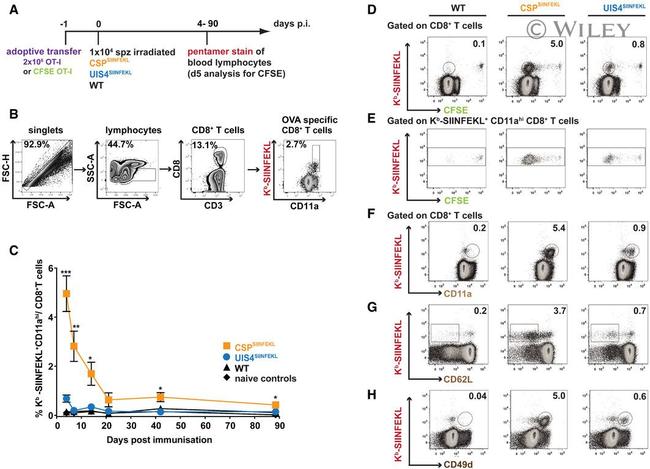 CD49d (Integrin alpha 4) Antibody in Flow Cytometry (Flow)