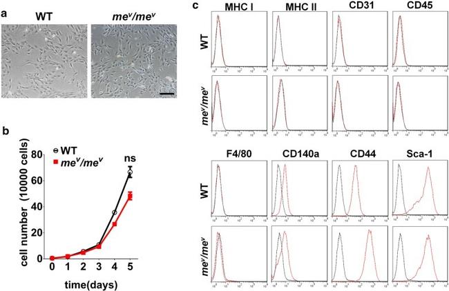 F4/80 Antibody in Flow Cytometry (Flow)