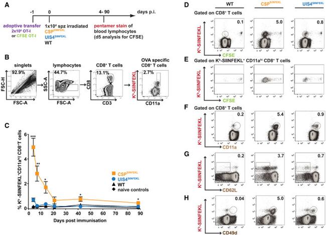 CD49d (Integrin alpha 4) Antibody in Flow Cytometry (Flow)