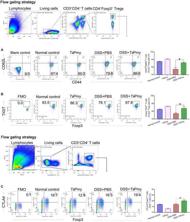 CD62L (L-Selectin) Antibody in Flow Cytometry (Flow)