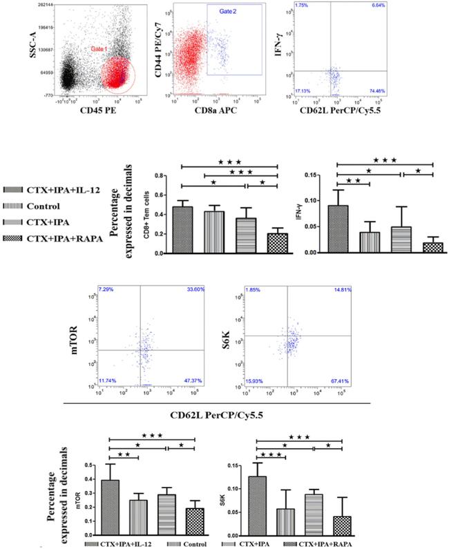 CD44 Antibody in Flow Cytometry (Flow)