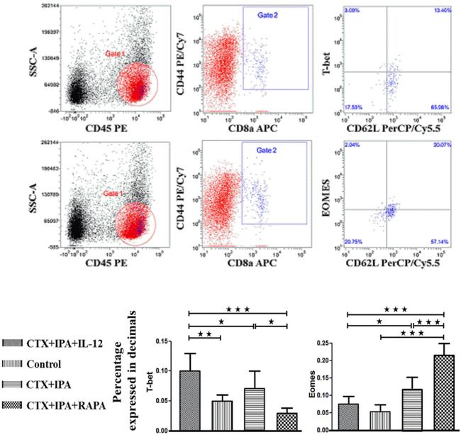 CD45 Antibody in Flow Cytometry (Flow)