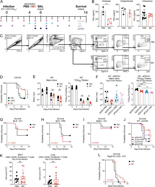 CD44 Antibody in Flow Cytometry (Flow)