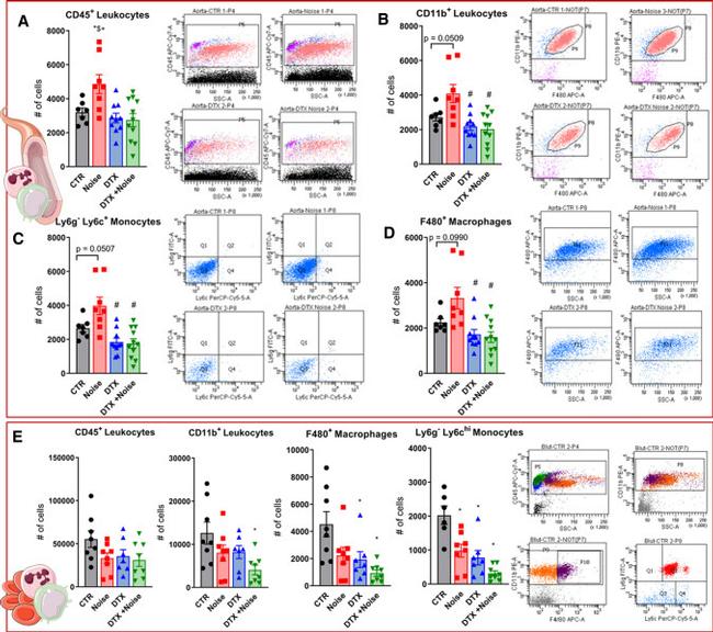 F4/80 Antibody in Flow Cytometry (Flow)