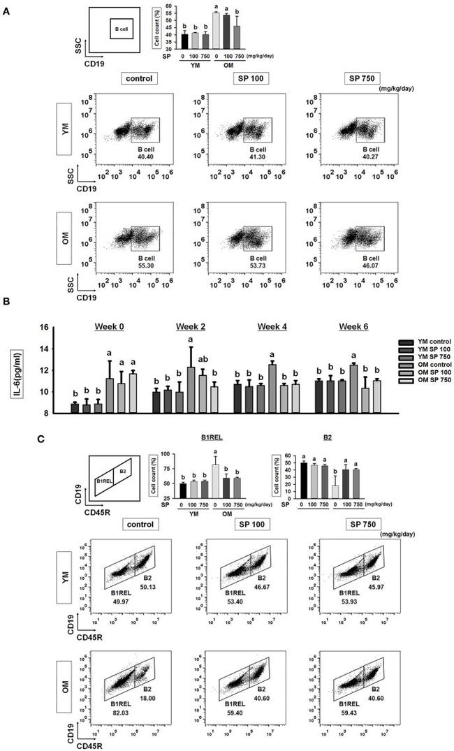 CD45 Antibody in Flow Cytometry (Flow)