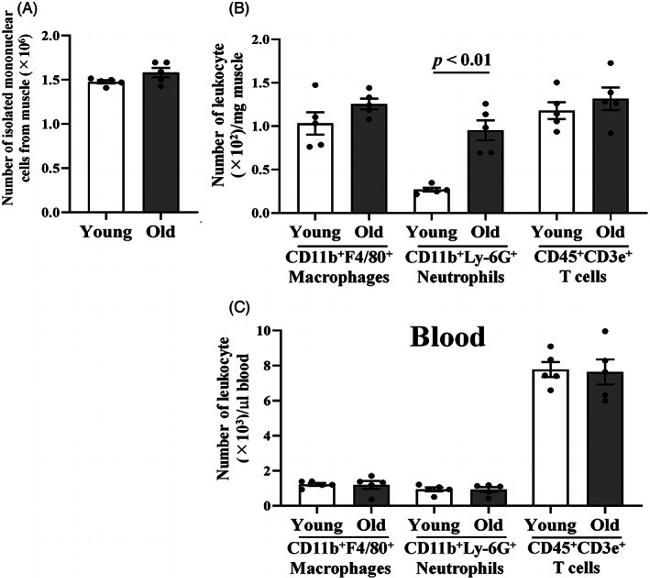 CD45 Antibody in Flow Cytometry (Flow)