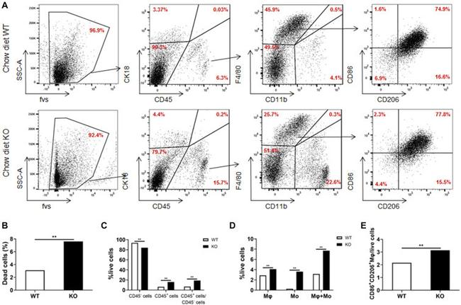 CD45 Antibody in Flow Cytometry (Flow)