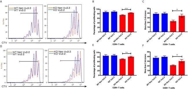 CD45.2 Antibody in Flow Cytometry (Flow)