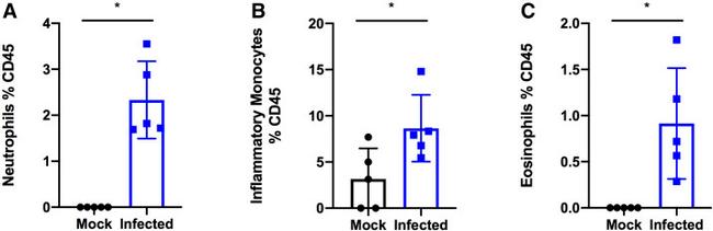 CD170 (Siglec F) Antibody in Flow Cytometry (Flow)