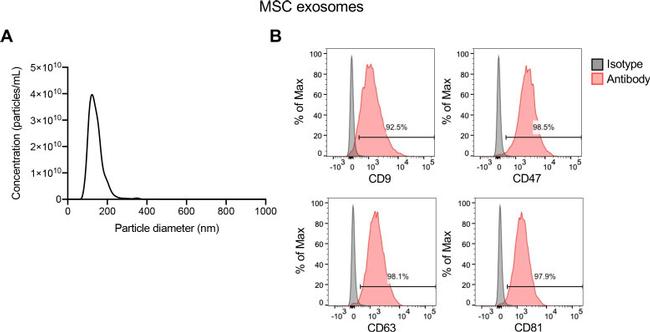 CD47 Antibody in Flow Cytometry (Flow)