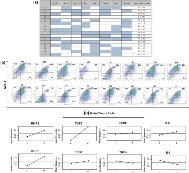 CD73 Antibody in Flow Cytometry (Flow)