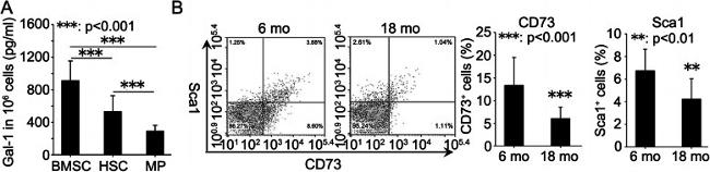 CD73 Antibody in Flow Cytometry (Flow)