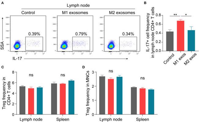 IL-17A Antibody in Flow Cytometry (Flow)