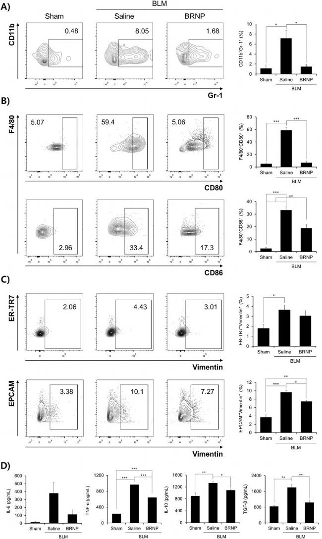 CD80 (B7-1) Antibody in Flow Cytometry (Flow)