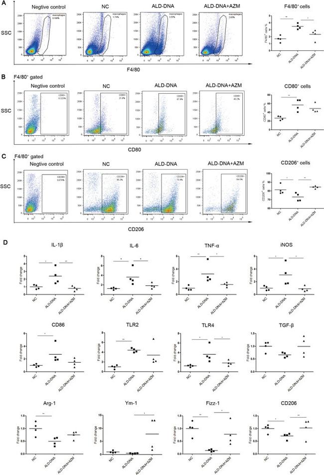 CD80 (B7-1) Antibody in Flow Cytometry (Flow)