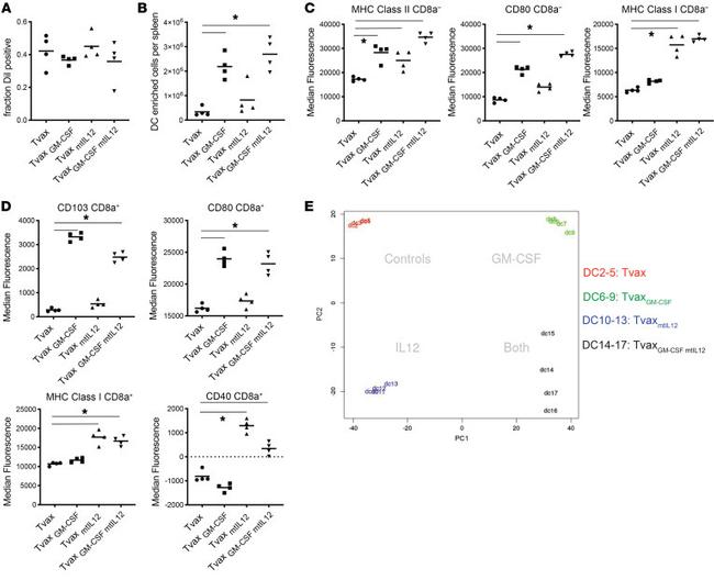 CD8a Antibody in Flow Cytometry (Flow)