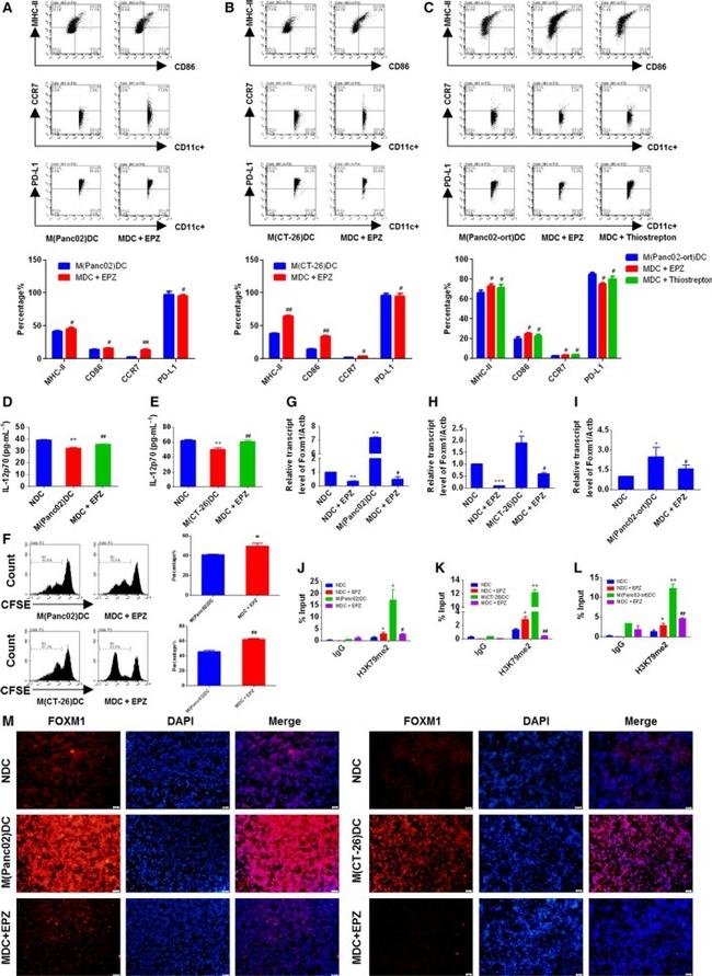 CD274 (PD-L1, B7-H1) Antibody in Flow Cytometry (Flow)