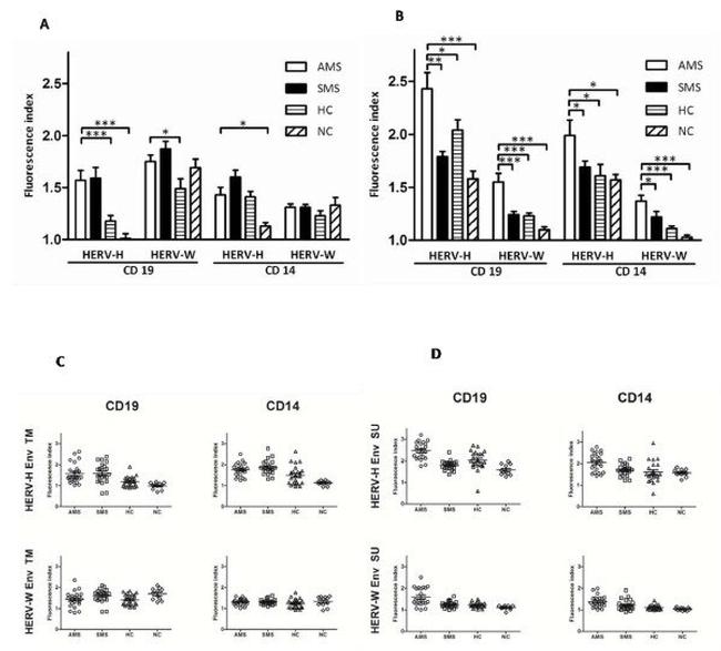 CD19 Antibody in Flow Cytometry (Flow)