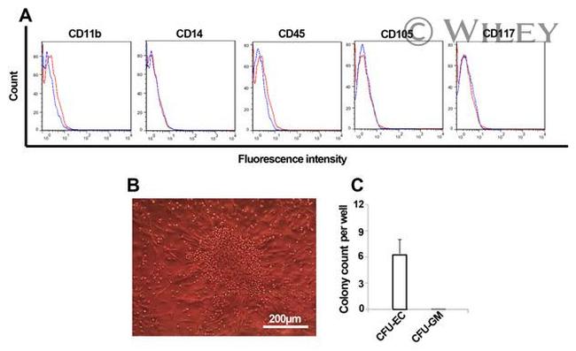 CD105 (Endoglin) Antibody in Flow Cytometry (Flow)