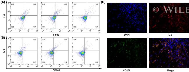 IL-6 Antibody in Flow Cytometry (Flow)