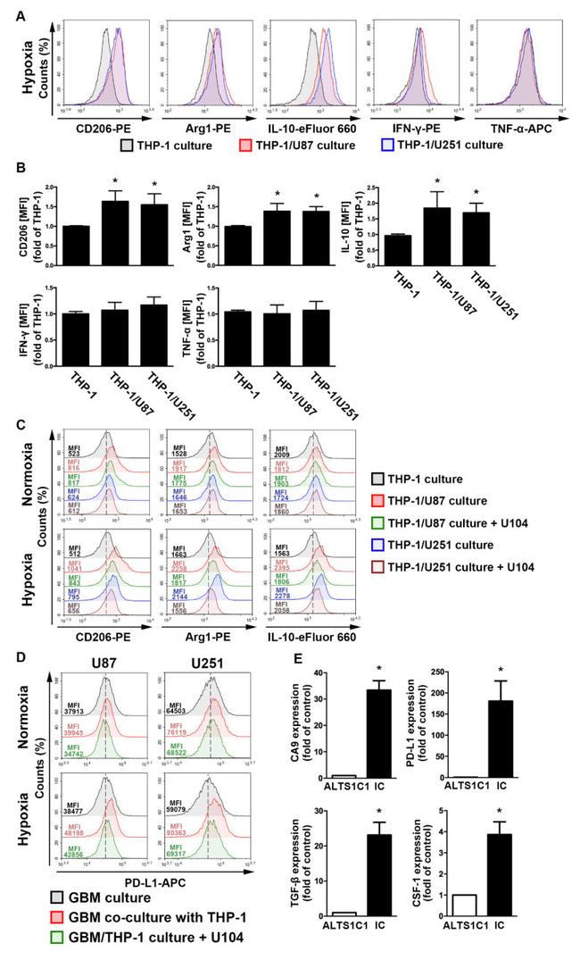 IL-10 Antibody in Flow Cytometry (Flow)