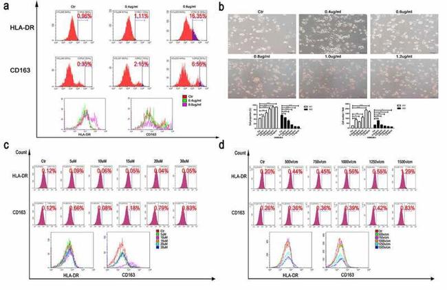 HLA-DR Antibody in Flow Cytometry (Flow)