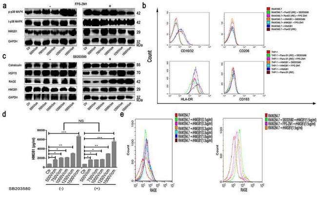 HLA-DR Antibody in Flow Cytometry (Flow)