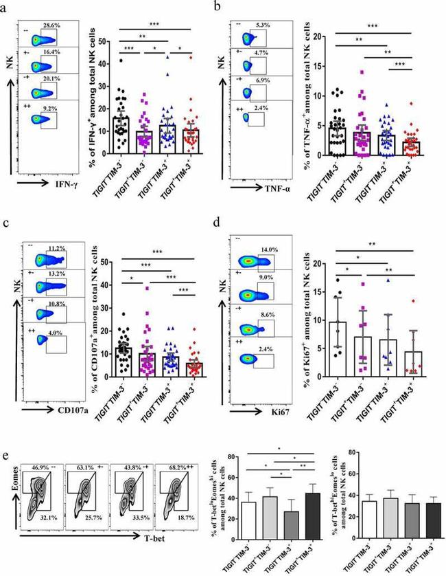 IFN gamma Antibody in Flow Cytometry (Flow)