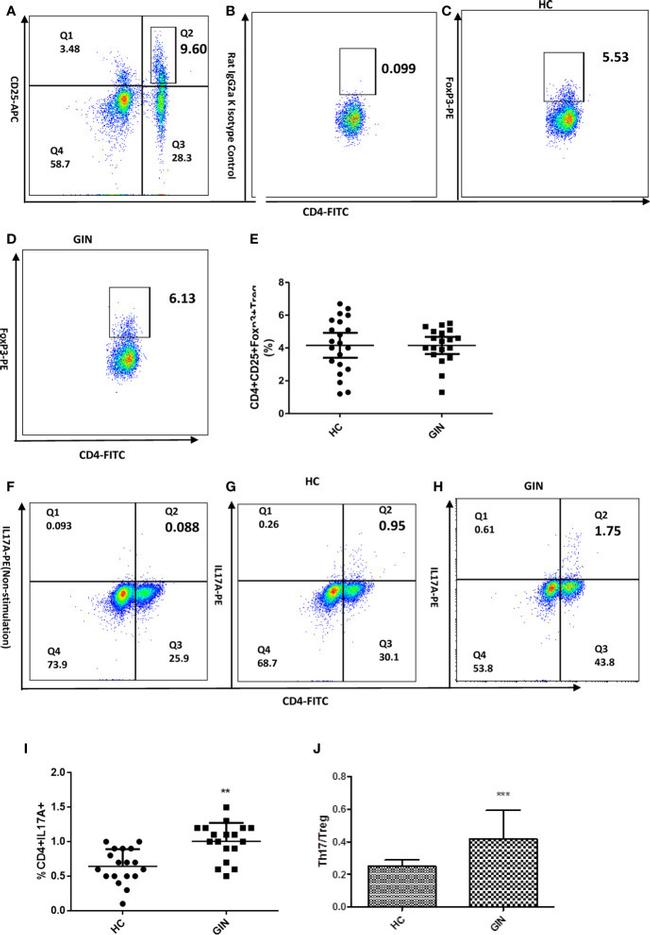 FOXP3 Antibody in Flow Cytometry (Flow)