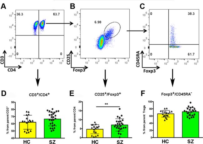 FOXP3 Antibody in Flow Cytometry (Flow)