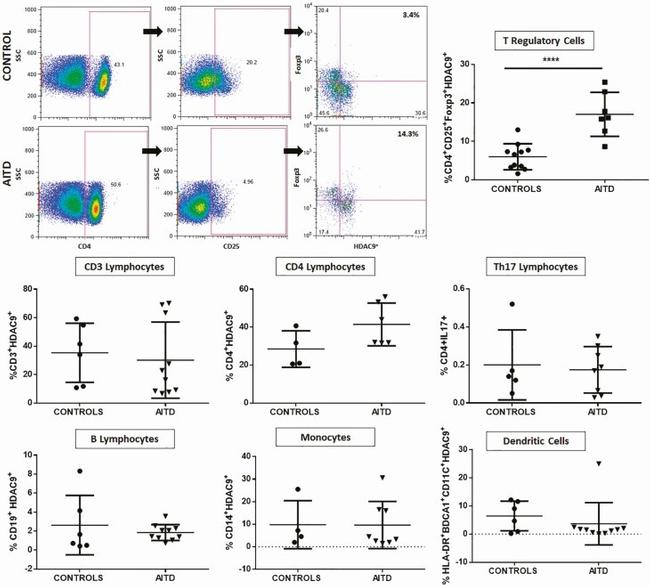 FOXP3 Antibody in Flow Cytometry (Flow)