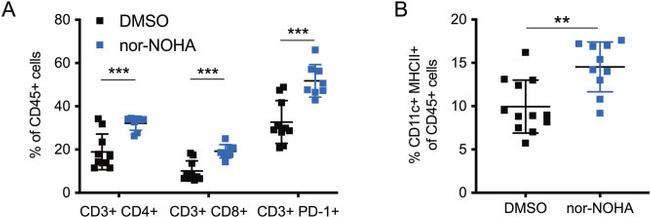 MHC Class II (I-A/I-E) Antibody in Flow Cytometry (Flow)