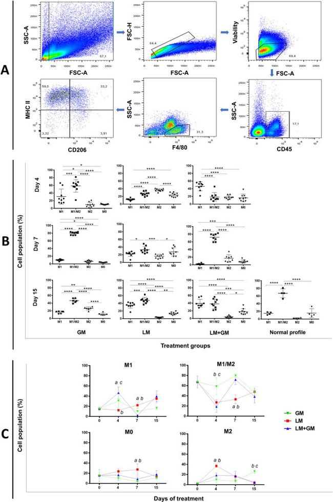 MHC Class II (I-A/I-E) Antibody in Flow Cytometry (Flow)