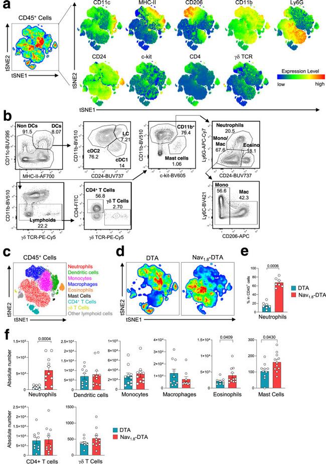 TCR gamma/delta Antibody in Flow Cytometry (Flow)