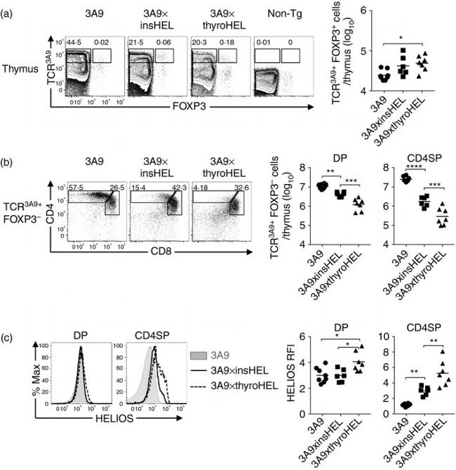 FOXP3 Antibody in Flow Cytometry (Flow)