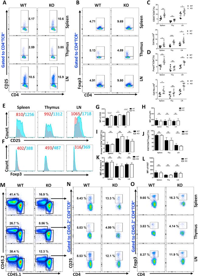 FOXP3 Antibody in Flow Cytometry (Flow)