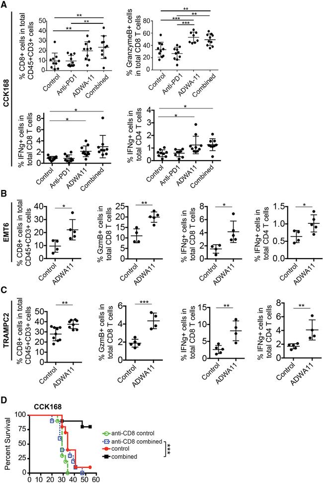 Granzyme B Antibody in Flow Cytometry (Flow)