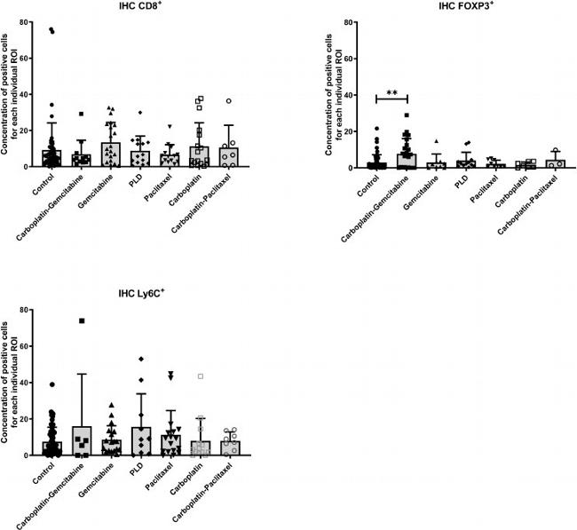 FOXP3 Antibody in Immunohistochemistry (IHC)